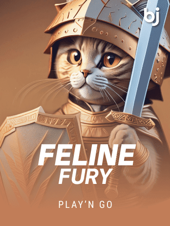 Feline Furypng icon